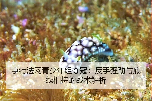 亨特法网青少年组夺冠：反手强劲与底线相持的战术解析