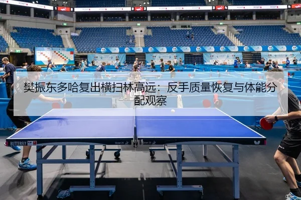 樊振东多哈复出横扫林高远：反手质量恢复与体能分配观察